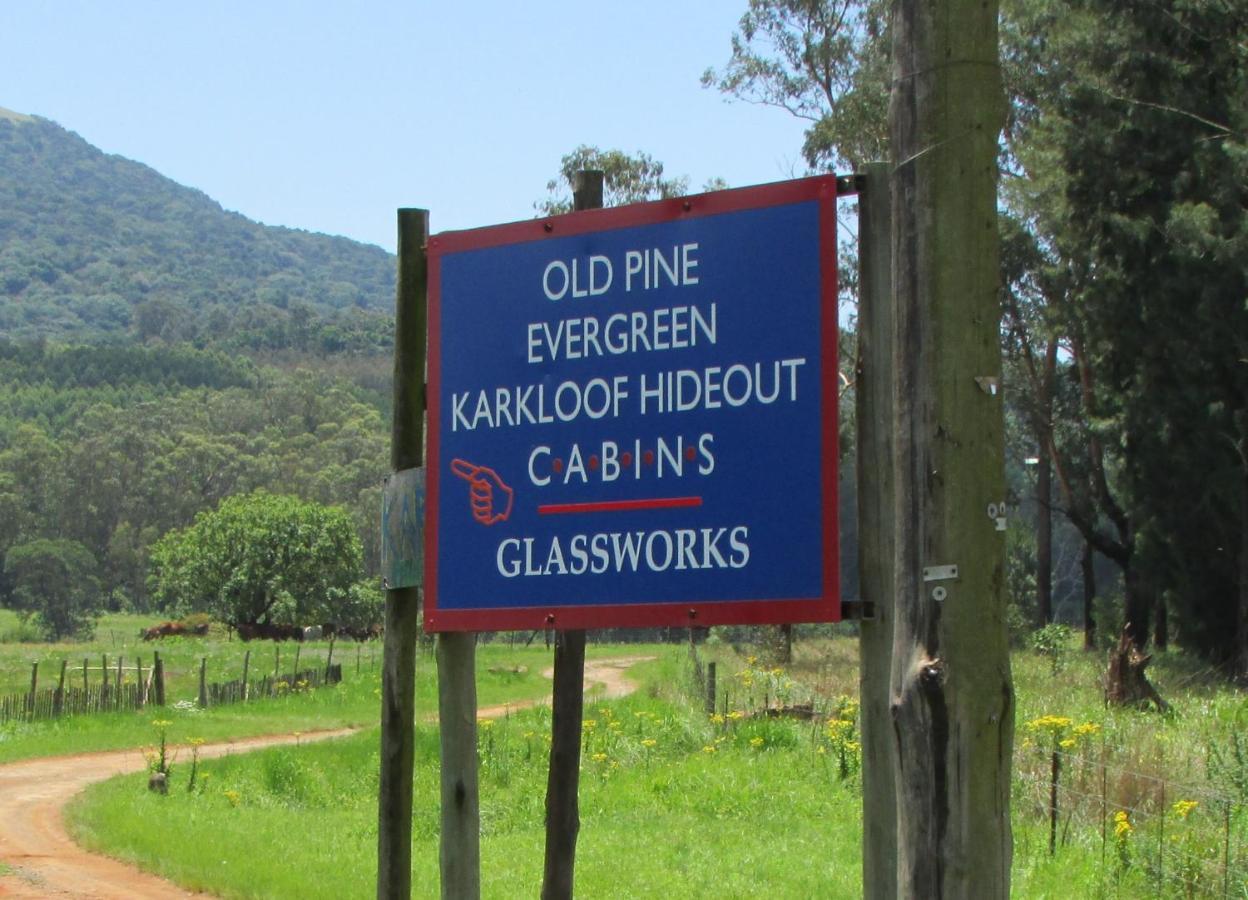 Old Pine Cabin Karkloof Yarrow Εξωτερικό φωτογραφία