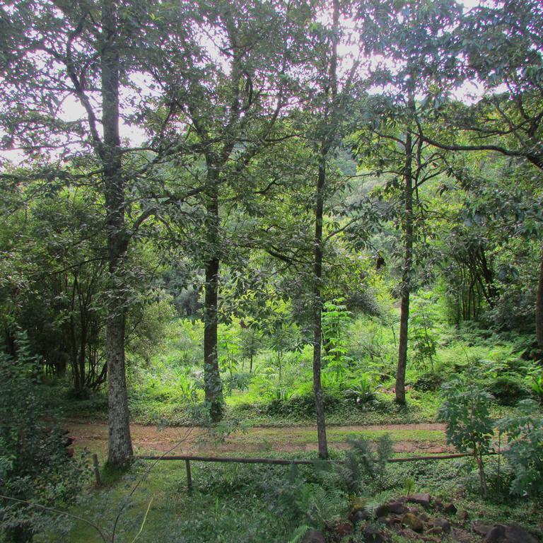 Old Pine Cabin Karkloof Yarrow Εξωτερικό φωτογραφία